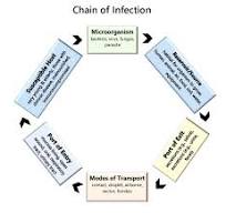 This is a n image of the six components of the Chain of Infection