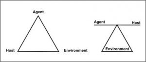 These two images show the three components of the epidemiologic triangle; the agent, environment and host.